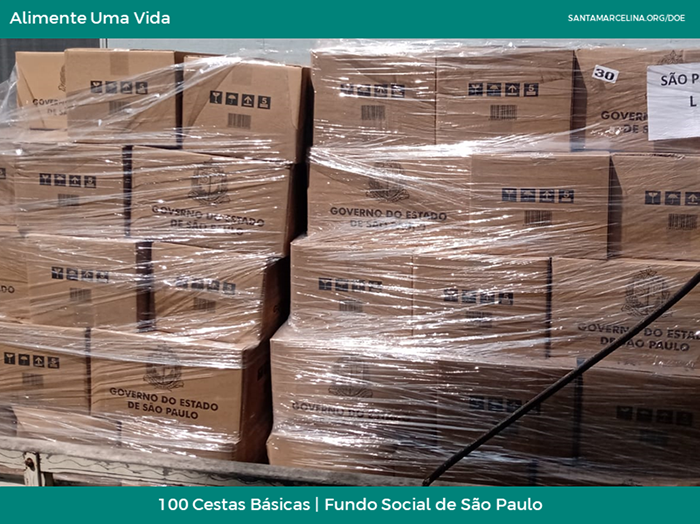 100 Cestas Básicas_Fundo Social de São Paulo copiar