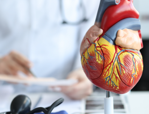 Cardiologista do Santa Marcelina Saúde alerta para o aumento de casos de infarto no final do ano