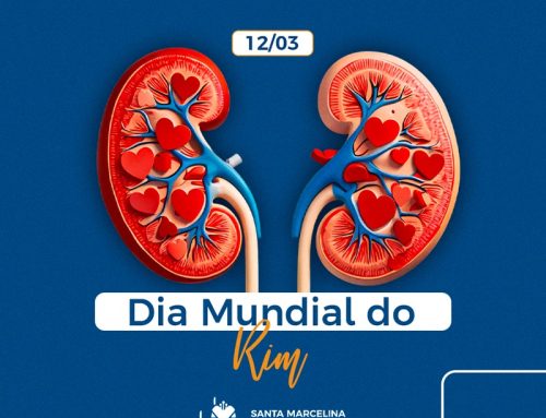 Nefrologista do Santa Marcelina Saúde orienta sobre prevenção, sintomas e diagnóstico no Dia Mundial do Rim